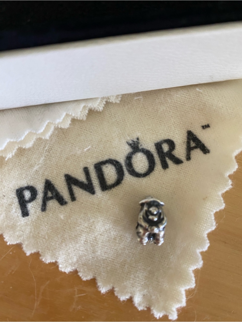 Pandora retired silver witch Charm